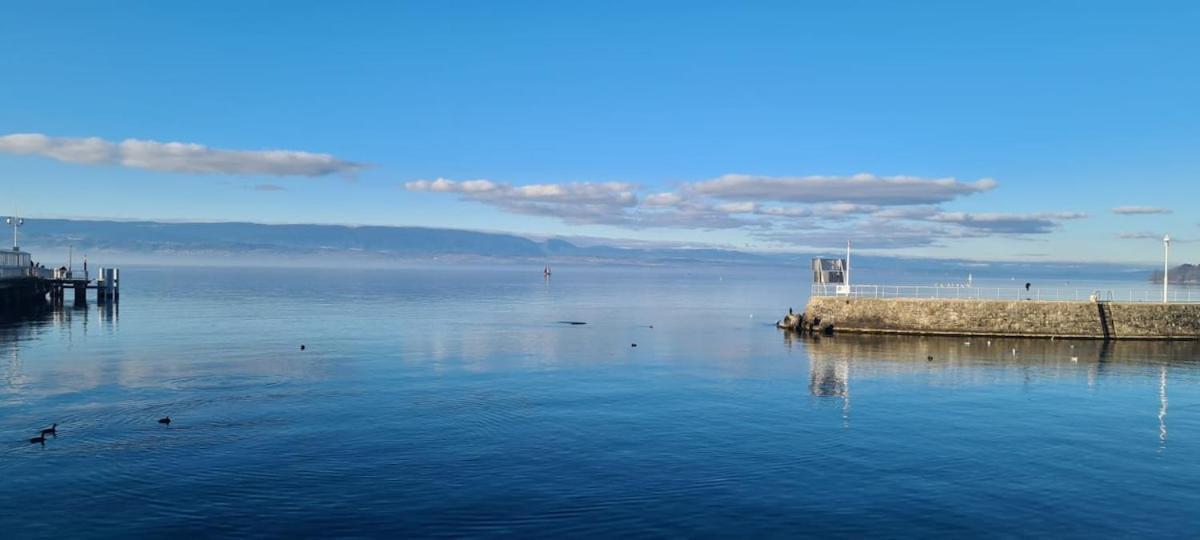 Le Bacchus Apartment Thonon-les-Bains Luaran gambar